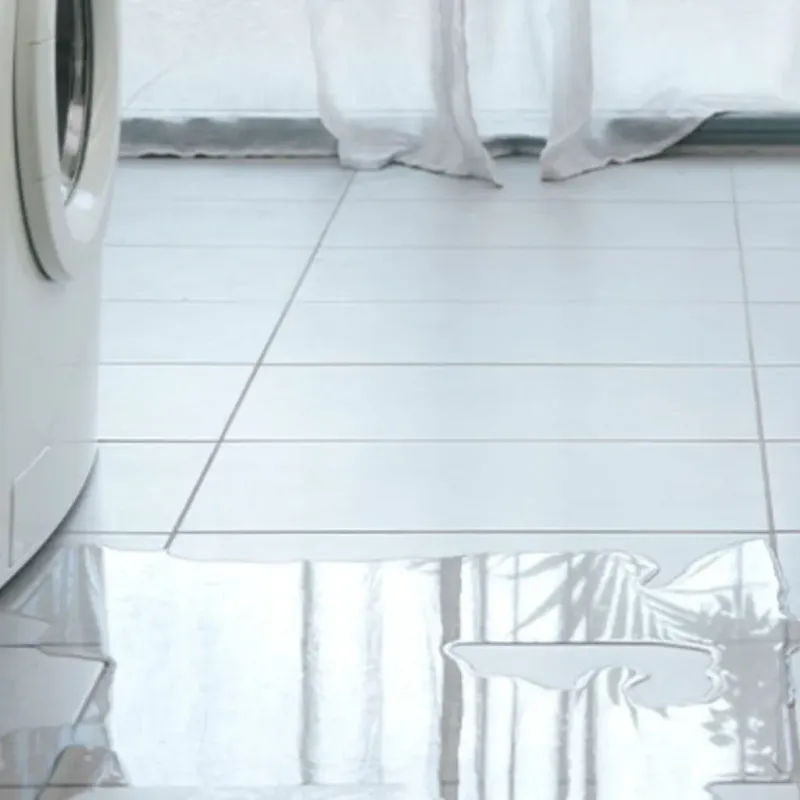 Appliance Leak Cleanup in Starke, FL