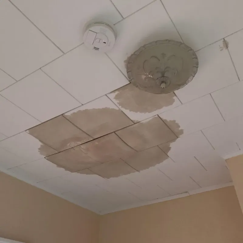 Ceiling Water Damage Repair in Starke, FL