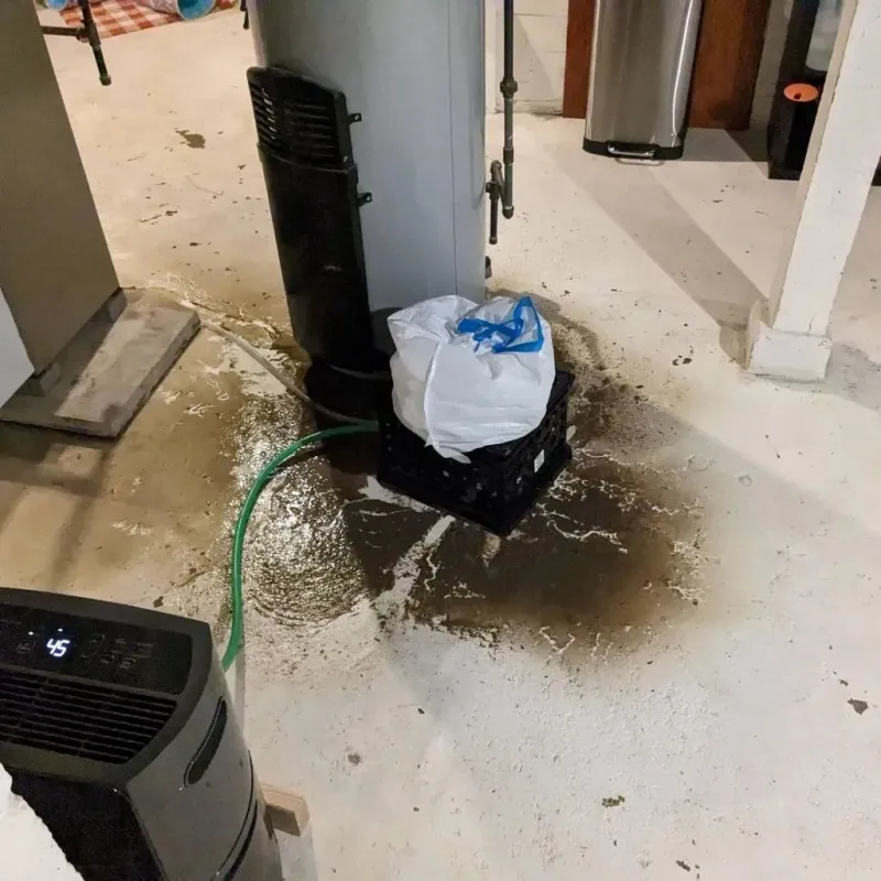 Sewage Backup Cleanup Service in Starke, FL